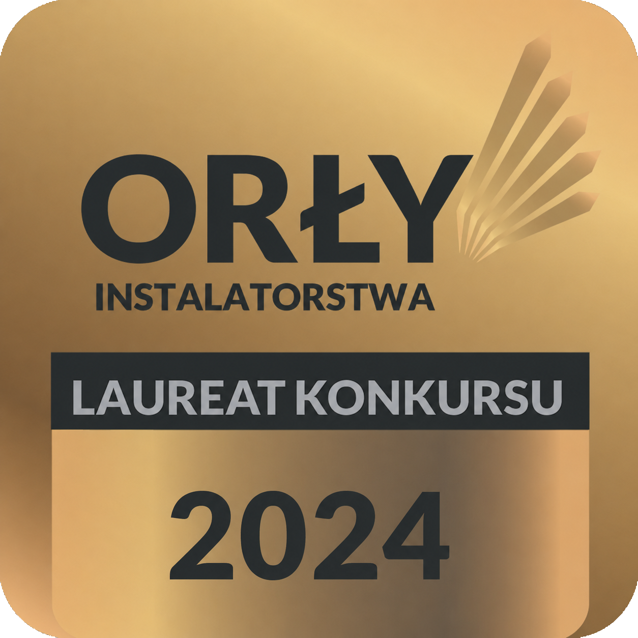 orly-instalatorstwa-2024